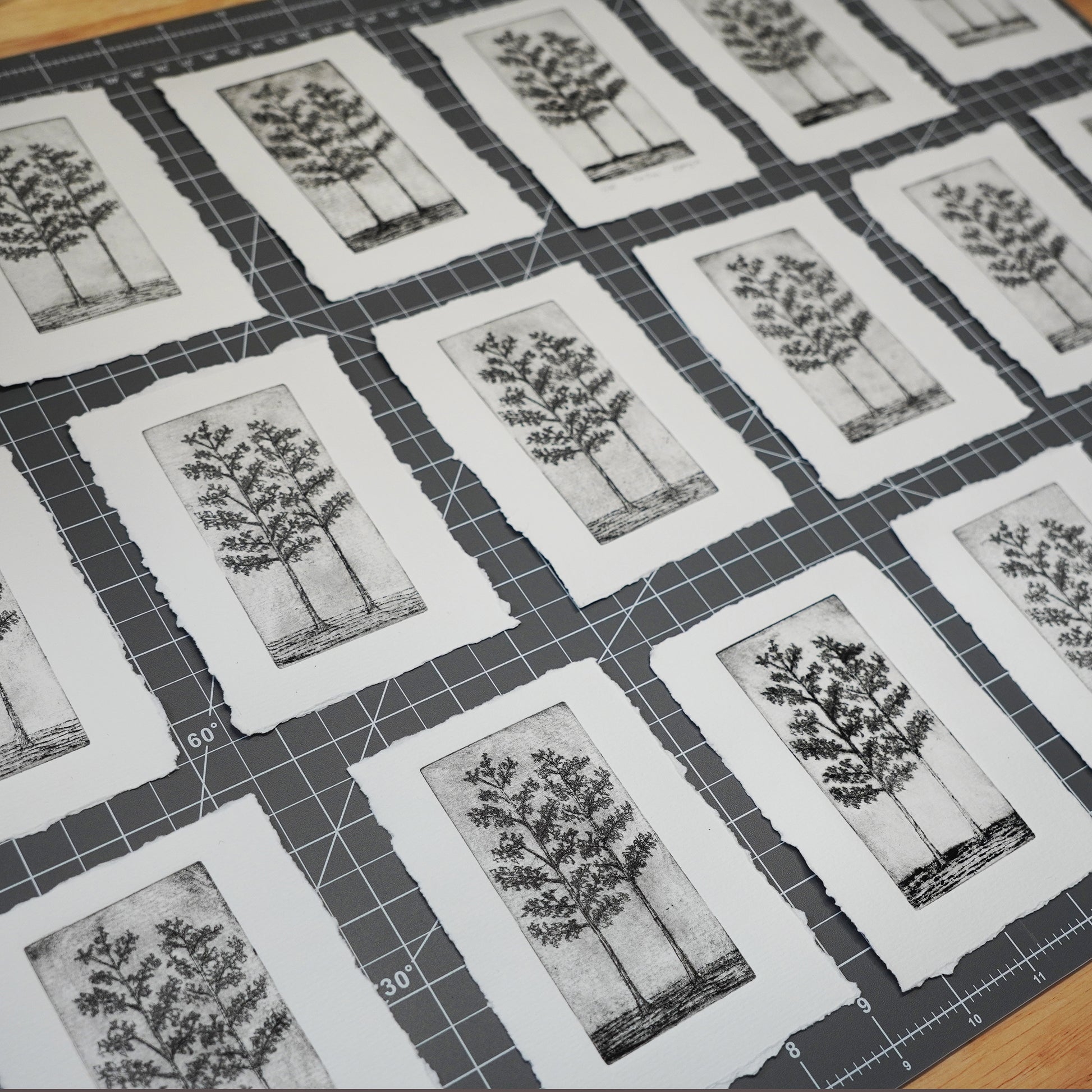 A grid cutting mat with multiple small white art prints laid on top, each featuring a black-and-white drypoint intaglio prints of two trees on watercolor paper by Jacki Geary with Jax Atelier in San Diego.