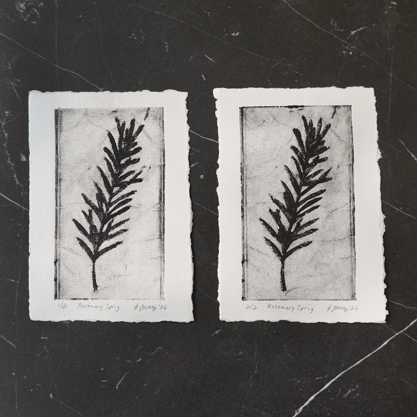 Two black and white botanical tetra pak drypoint intaglio prints of a rosemary sprig on thick watercolor paper with a deckled edge, displayed on a dark textured slate background. By artist Jacki Geary with Jax Atelier in San Diego.