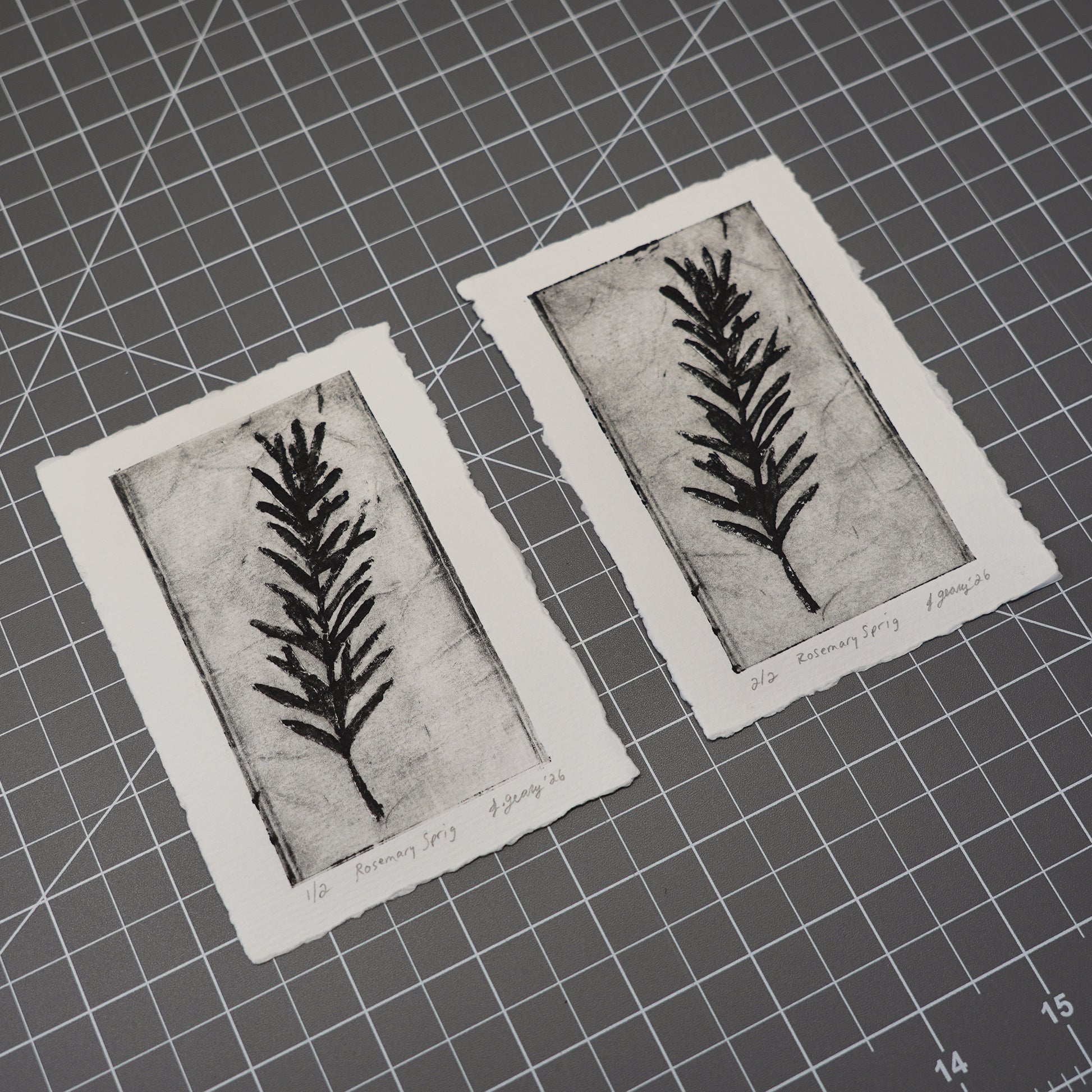 Two handmade botanical limited edition tetra pak drypoint prints with black ink rosemary illustrations are shown on a gray gridded cutting mat. Art by Jacki Geary with Jax Atelier in San Diego.