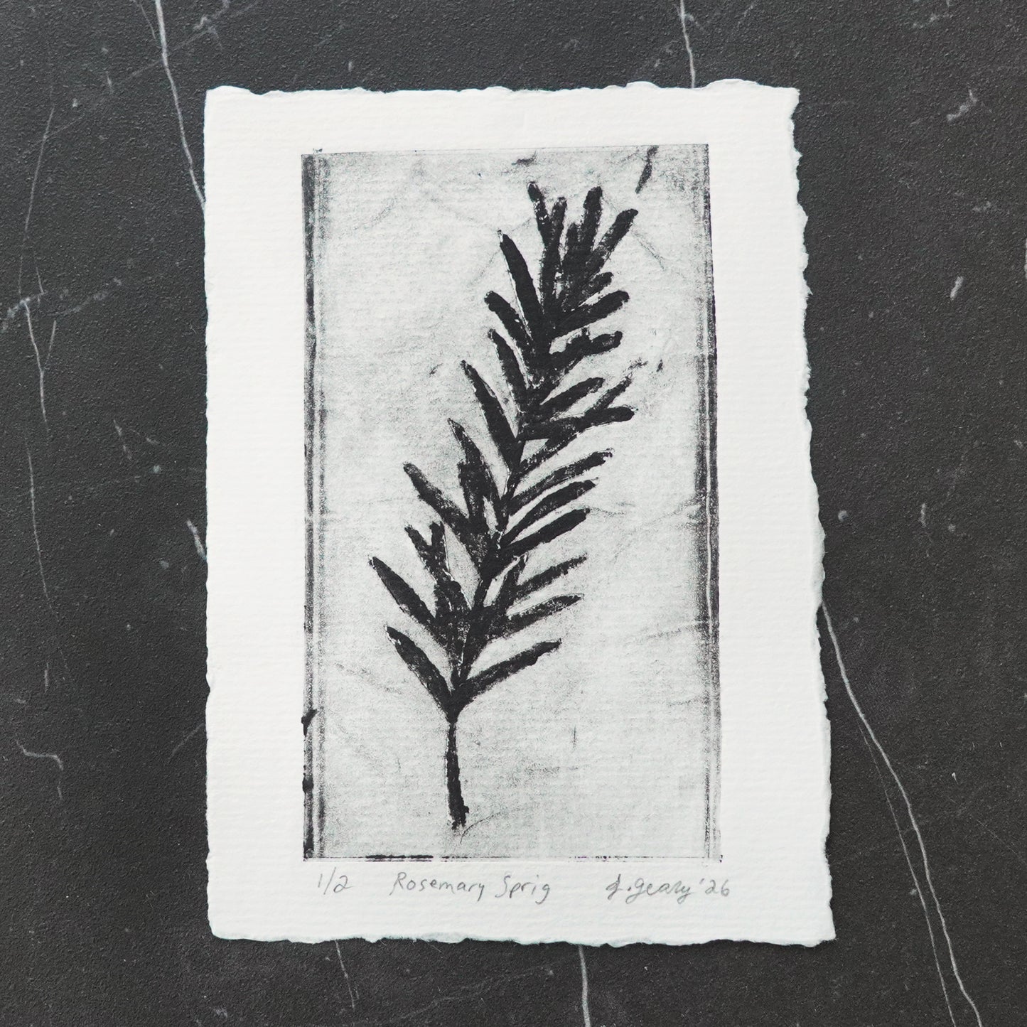 A black and white botanical tetra pak drypoint intaglio print of a rosemary sprig on thick watercolor paper with a deckled edge, displayed on a dark textured slate background. By artist Jacki Geary with Jax Atelier in San Diego.