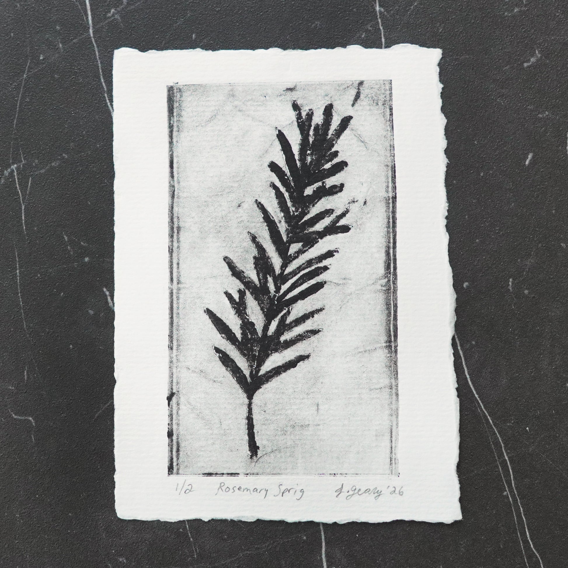 A black and white botanical tetra pak drypoint intaglio print of a rosemary sprig on thick watercolor paper with a deckled edge, displayed on a dark textured slate background. By artist Jacki Geary with Jax Atelier in San Diego.