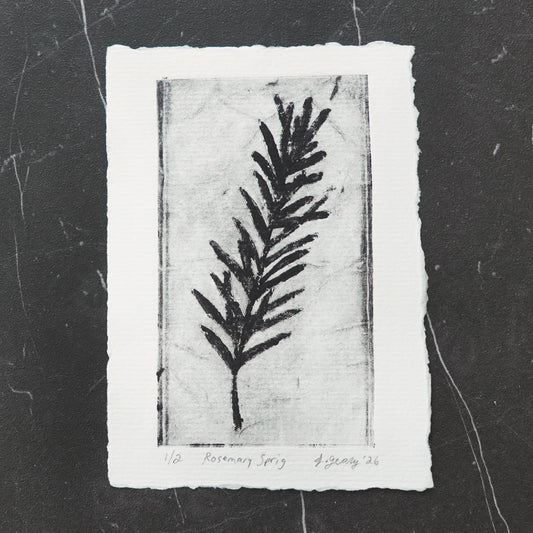 A black and white botanical tetra pak drypoint intaglio print of a rosemary sprig on thick watercolor paper with a deckled edge, displayed on a dark textured slate background. By artist Jacki Geary with Jax Atelier in San Diego.