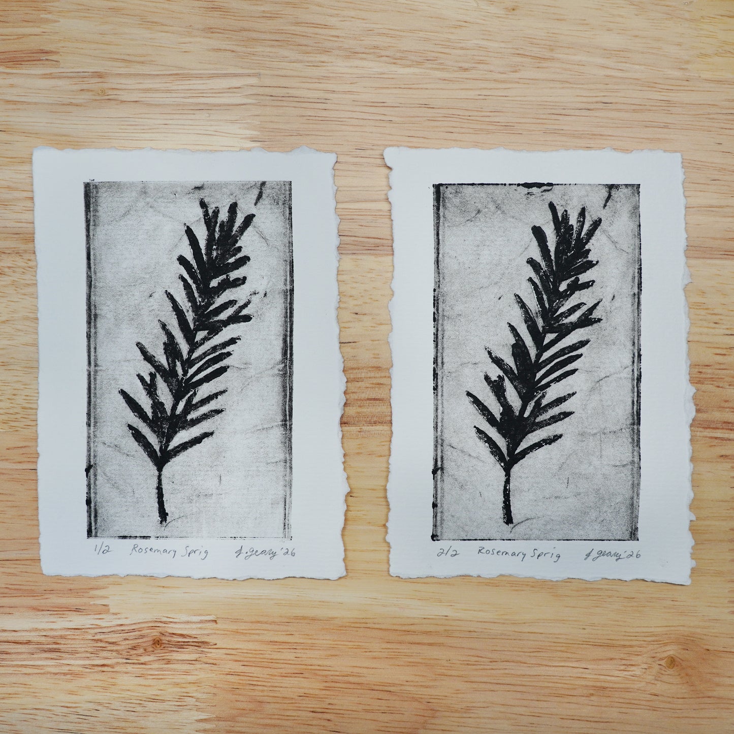 Two handmade botanical limited edition tetra pak drypoint prints with black ink rosemary illustrations are shown on a wood background. Art by Jacki Geary with Jax Atelier in San Diego.