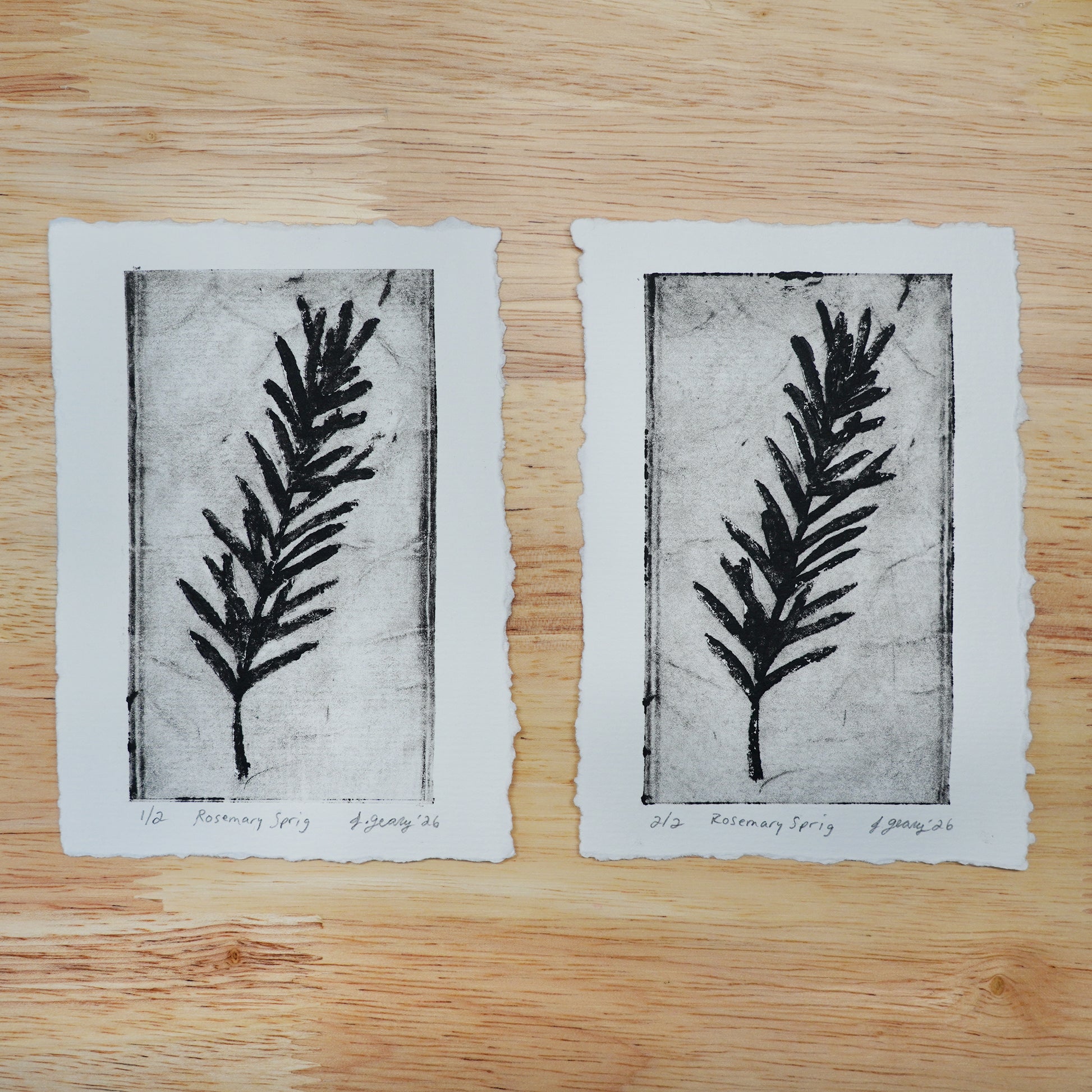 Two handmade botanical limited edition tetra pak drypoint prints with black ink rosemary illustrations are shown on a wood background. Art by Jacki Geary with Jax Atelier in San Diego.