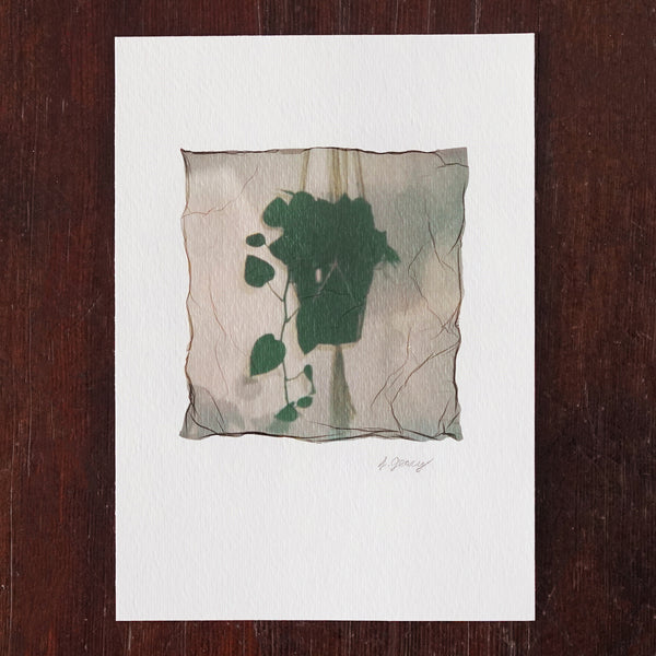 Hanging Pothos Polaroid Emulsion Lift Watercolor Paper Jax Atelier San Diego