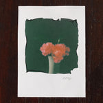 Pink Flowers Polaroid Emulsion Lift Watercolor Paper JAX Atelier San Diego