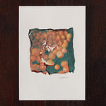 Tomatoes Farmers Market Polaroid Emulsion Lift Watercolor Paper Jax Atelier San Diego